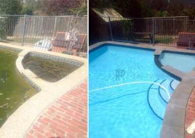 Pool renovation tiling curved stone cropping - Box Hill | Pacific Pools