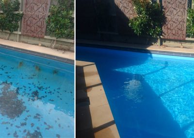 Swimming pool rust repair and resurface - Point Cook | Pacific Pools